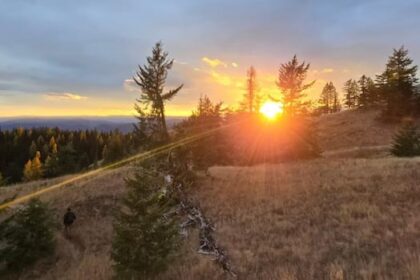 bc.-magnesium-mine-won’t-need-environmental-assessment,-critics-disappointed