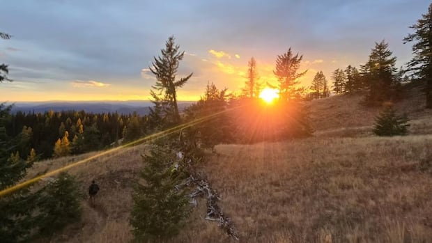 bc.-magnesium-mine-won’t-need-environmental-assessment,-critics-disappointed