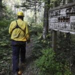 firefighters-save-ww-ii-plane-crash-site-from-west-dalhousie-wildfire