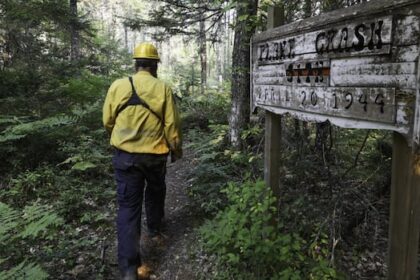firefighters-save-ww-ii-plane-crash-site-from-west-dalhousie-wildfire