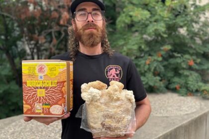 from-brain-boosting-to-pain-killing-properties,-sask.-mushroom-lovers-say-this-fungi-is-a-blooming-marvel