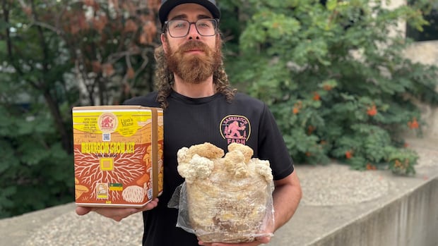 from-brain-boosting-to-pain-killing-properties,-sask.-mushroom-lovers-say-this-fungi-is-a-blooming-marvel