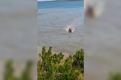 volunteer-firefighters-rescue-teenage-boy-clinging-to-driftwood-in-glace-bay