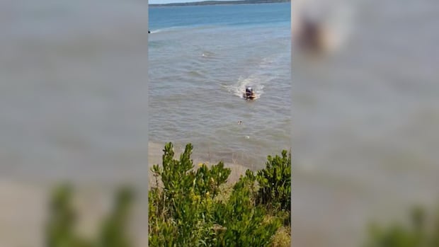volunteer-firefighters-rescue-teenage-boy-clinging-to-driftwood-in-glace-bay