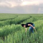 how-canadian-researchers-are-trying-to-win-the-battle-against-a-stubborn-wheat-disease