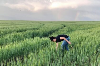how-canadian-researchers-are-trying-to-win-the-battle-against-a-stubborn-wheat-disease