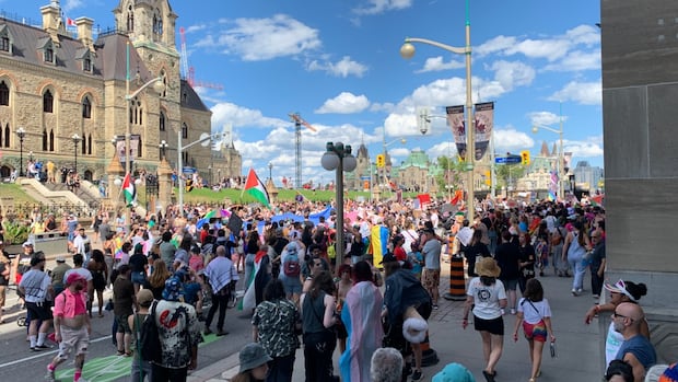 pride-parade-cancelled-after-being-halted-by-pro-palestinian-protesters
