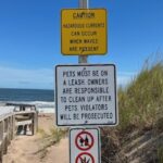 one-person-dead-in-accidental-drowning-at-melmerby-beach-on-friday