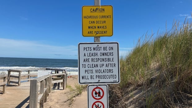 one-person-dead-in-accidental-drowning-at-melmerby-beach-on-friday