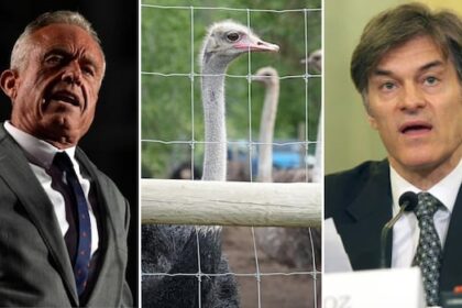 dr-oz-wants-to-take-bc.-ostriches-facing-cull-order-but-scientists-question-his-claims