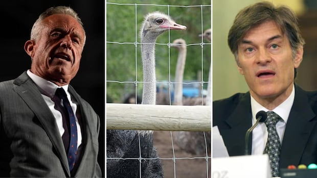 dr-oz-wants-to-take-bc.-ostriches-facing-cull-order-but-scientists-question-his-claims