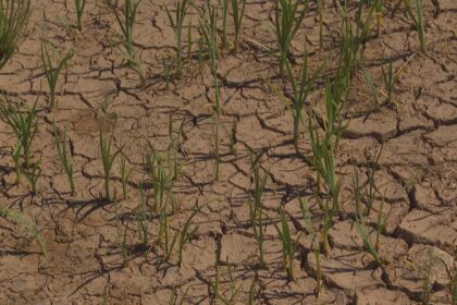 how-much-rain-does-it-take-to-end-a-drought?