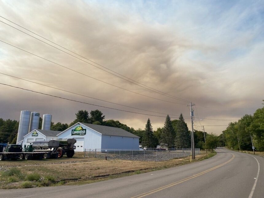 fire-ban-has-been-extended-to-sept-8-in-pei.