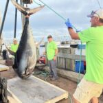 21st-annual-wedgeport-tuna-tournament-and-festival-held