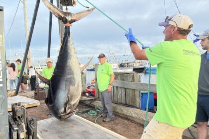 21st-annual-wedgeport-tuna-tournament-and-festival-held