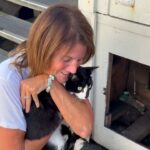 #themoment-a-dog-helped-find-a-cat-missing-at-bc.-ferry-terminal