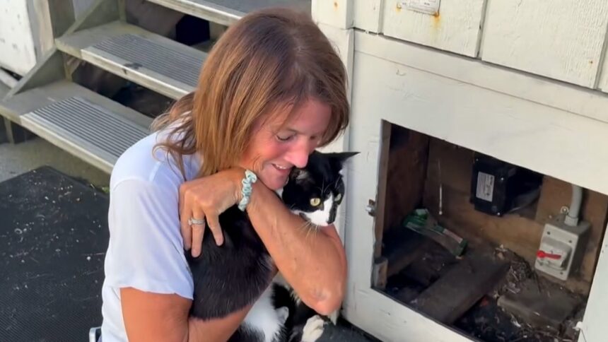 #themoment-a-dog-helped-find-a-cat-missing-at-bc.-ferry-terminal