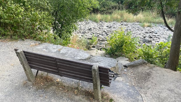 south-nation-conservation-authority-declares-critically-low-water-levels