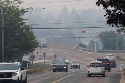 why-nova-scotia’s-wildfire-smoke-choked-nb.-and-what-it-means-for-your-health