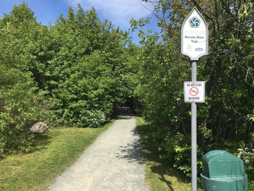 st.-johns-seeking-community-feedback-on-two-more-neighbourhood-plans