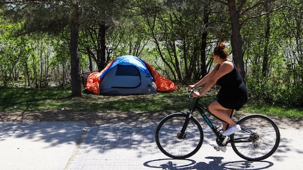 latest-winnipeg-street-census-suggests-homelessness-at-highest-point-in-past-decade