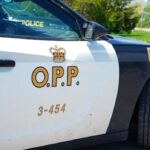 motorcyclist-collides-with-moose-near-chalk-river