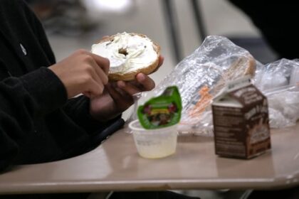 no-blue-bin-recycling-at-2-ottawa-school-boards-this-september