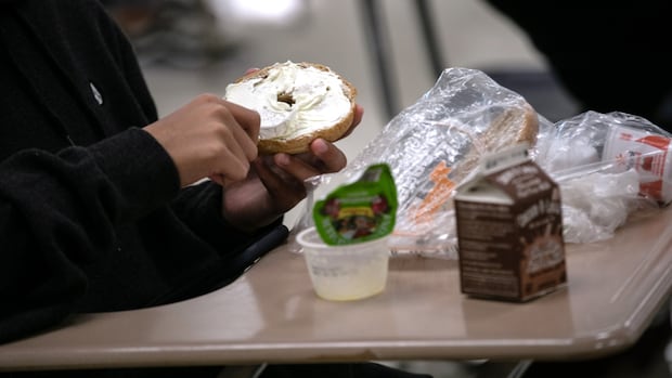 no-blue-bin-recycling-at-2-ottawa-school-boards-this-september