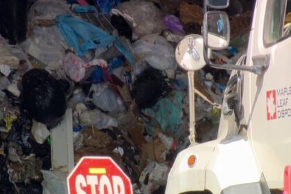 despite-10-year-metro-vancouver-ban-on-organics-in-the-garbage,-it’s-still-the-top-landfill-item