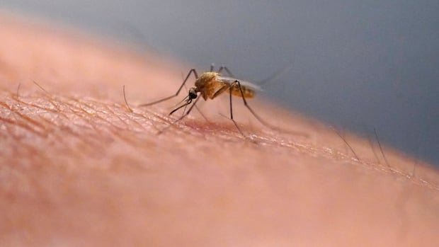 oph-confirms-1st-case-of-west-nile-virus-in-a-human-this-year