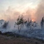 9-active-wildfires-burn-in-the-province,-2-out-of-control