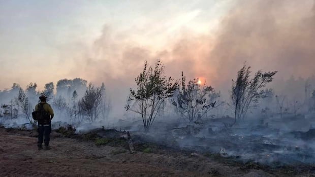 9-active-wildfires-burn-in-the-province,-2-out-of-control