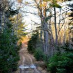 historian-hopes-long-lake-fire-misses-old-roxbury-settlement,-which-survived-a-fire-in-1903