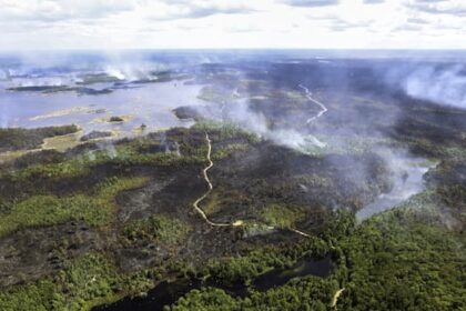 20-homes-destroyed-in-annapolis-county-wildfire