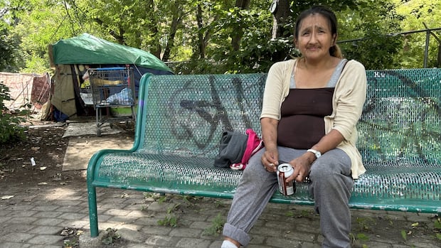 housing-strategy-‘right-on-track,’-manitoba-minister-says-amid-record-high-homelessness-count