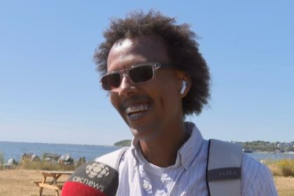 saint-john-ranks-last-among-all-cities-in-canada-for-access-to-green-space