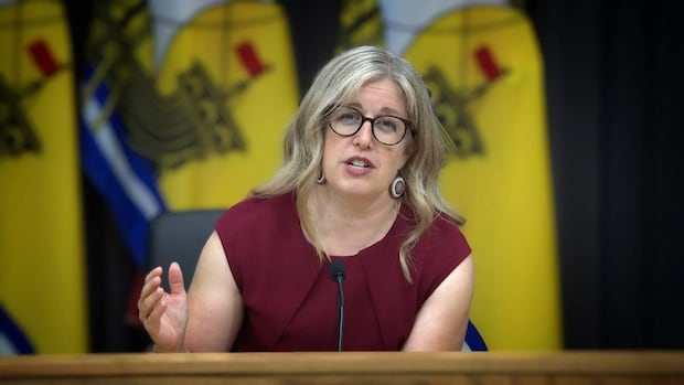 premier-faces-legal-and-political-pressure-in-lieutenant-governor-case