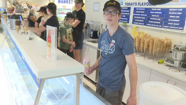 cheaper-confederation-bridge-trips-turning-into-traffic-at-businesses-near-borden-carleton