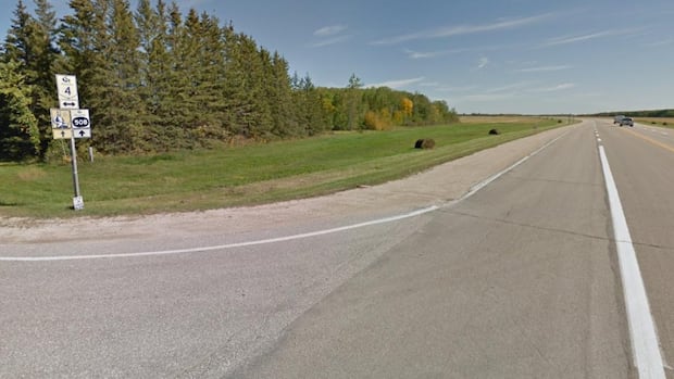 man,-62,-killed-in-collision-near-selkirk,-rcmp-say