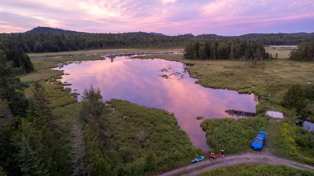 people-returning-to-nb.-woods-with-excitement-and-concern-as-wildfires-continue