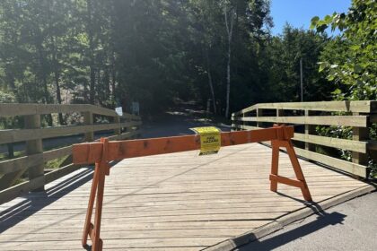 woods-travel-ban-lifted-in-some-nova-scotia-counties,-but-risk-is-still-too-high-on-most-of-mainland