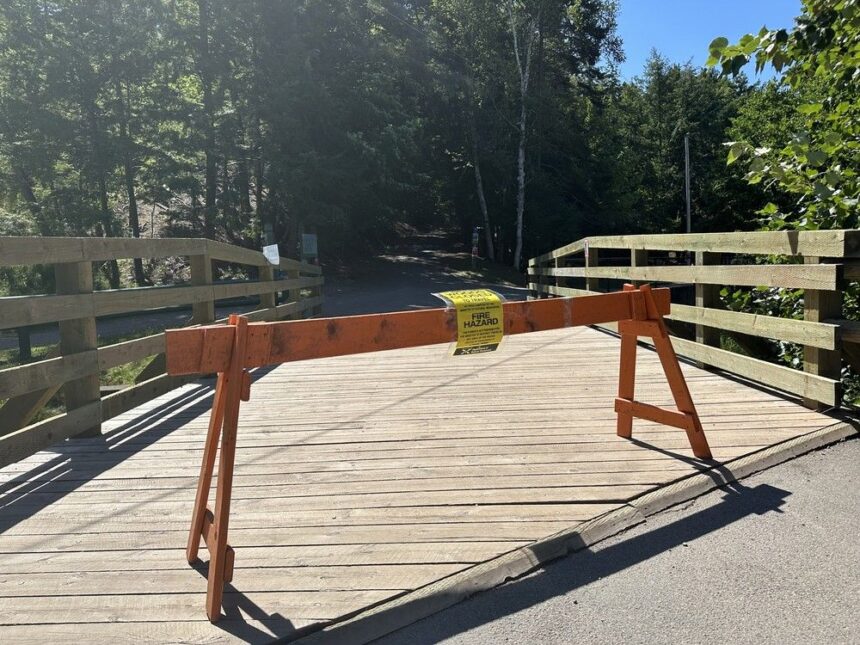 woods-travel-ban-lifted-in-some-nova-scotia-counties,-but-risk-is-still-too-high-on-most-of-mainland