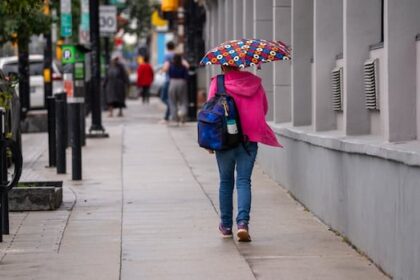 ottawa-sees-wettest-day-of-2025,-but-drought-effects-should-linger