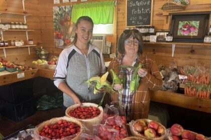 hot-summer-results-in-pei.-apple-orchards-opening-early