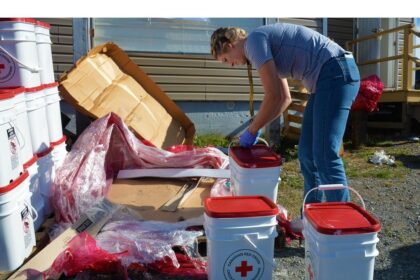 conception-bay-north-pulls-together-in-wake-of-wildfire,-residents-grieving