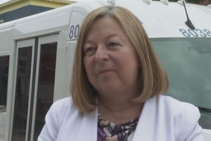 fredericton-transit-tries-on-demand-service-in-2-areas-where-ridership-has-declined