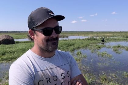 flooded-fields-after-heavy-rains-slow-start-of-harvest-in-south-central-manitoba