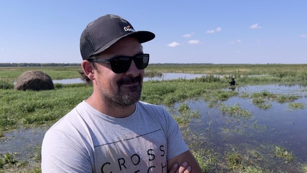 flooded-fields-after-heavy-rains-slow-start-of-harvest-in-south-central-manitoba
