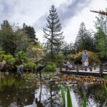 vancouver’s-vandusen-botanical-garden-celebrates-50th-anniversary
