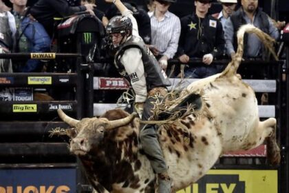 late-bc.-bull-rider-ty-pozzobon-to-be-inducted-into-canadian-pro-rodeo-hall-of-fame